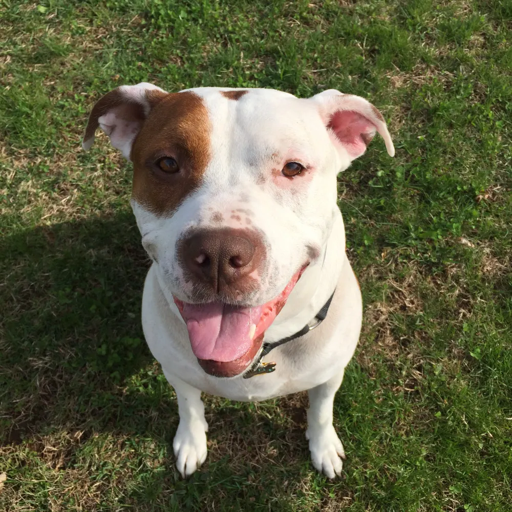 jack2011.bsky.social's profile picture