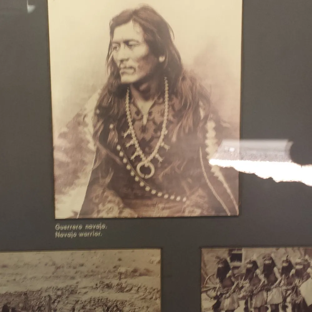 sanepo.bsky.social's profile picture