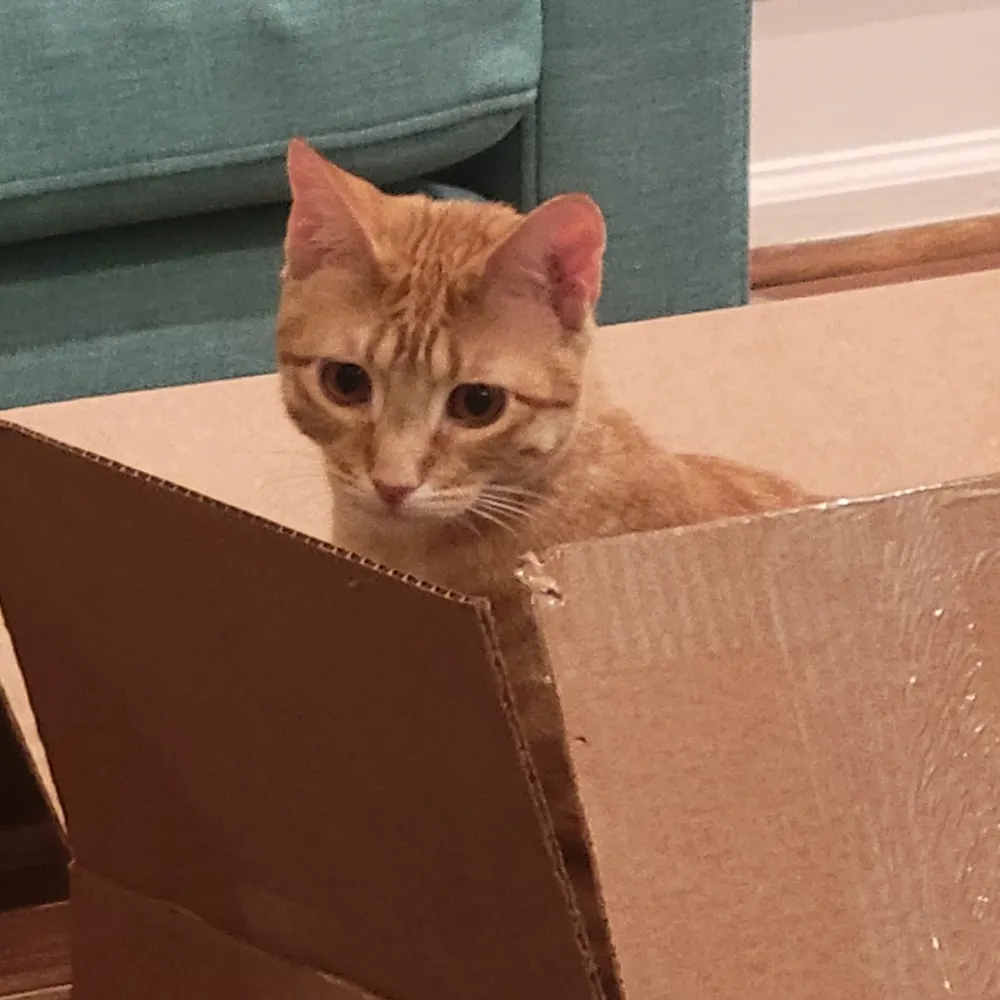 magadauthan.bsky.social's profile picture