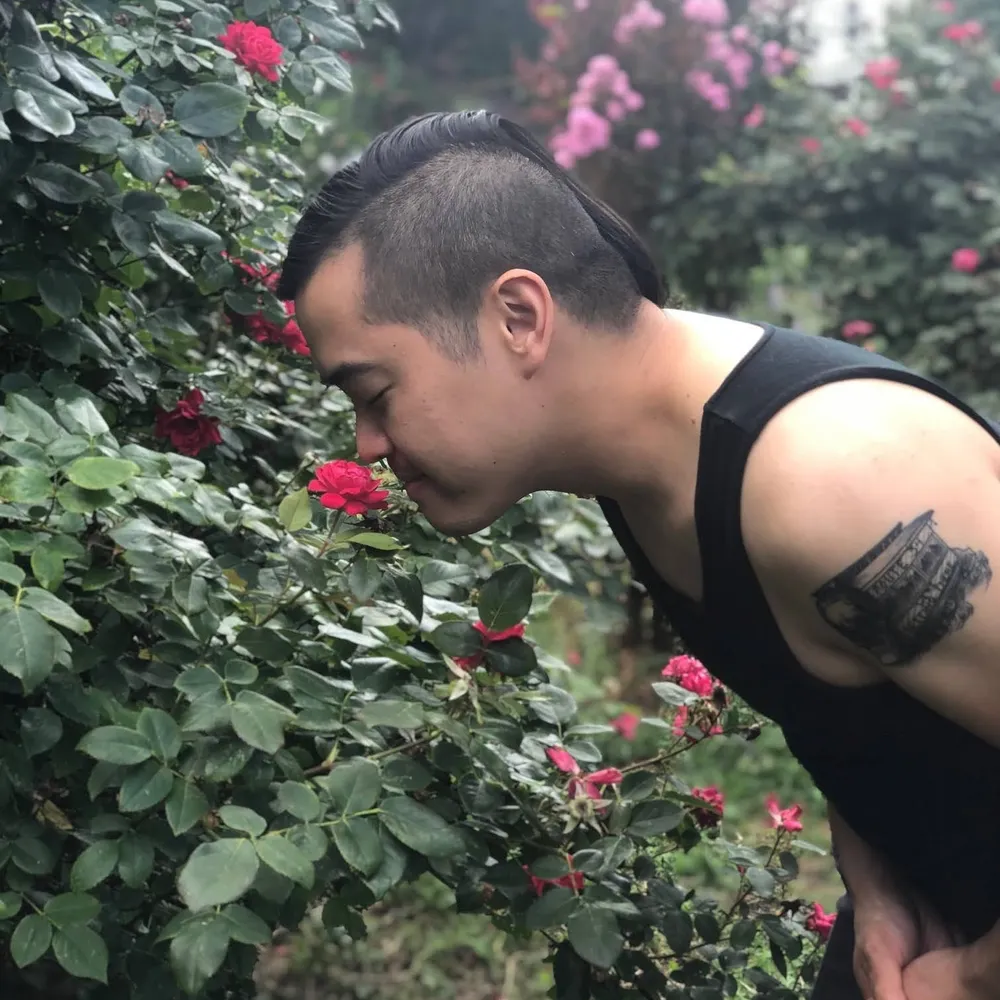 antioccident.bsky.social's profile picture