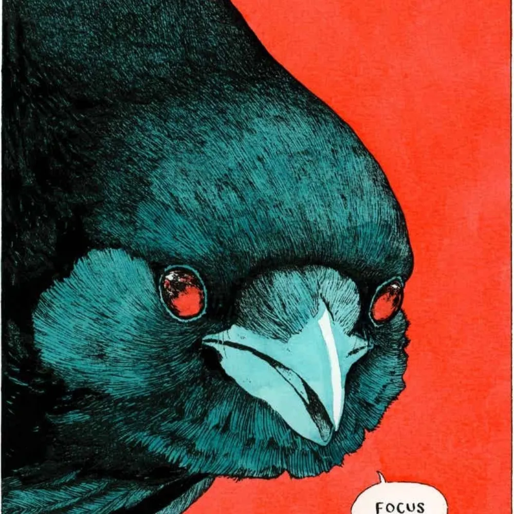 captoverkill.bsky.social's profile picture