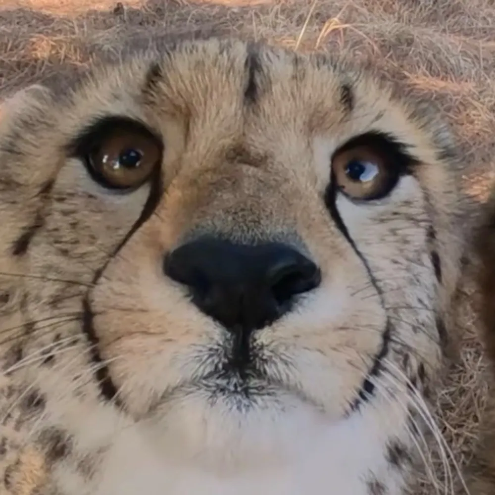 jbfreezepop.bsky.social's profile picture