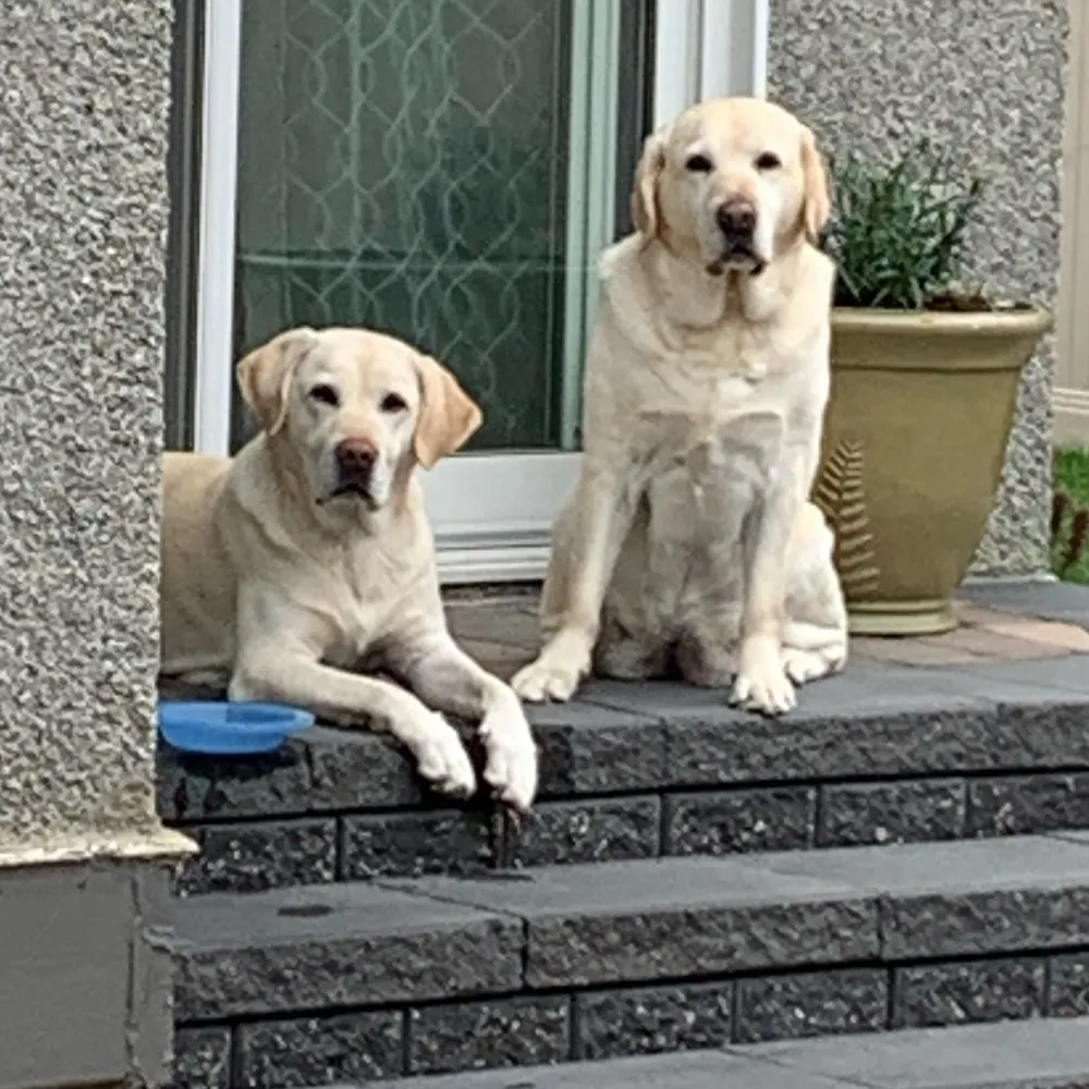 margo-charchuk.bsky.social's profile picture