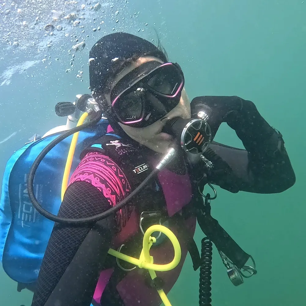 caparo479.bsky.social's profile picture