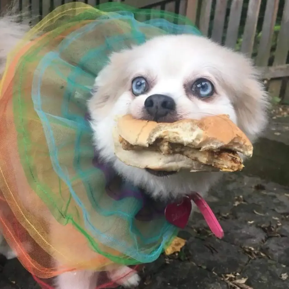 hyperglavin.bsky.social's profile picture