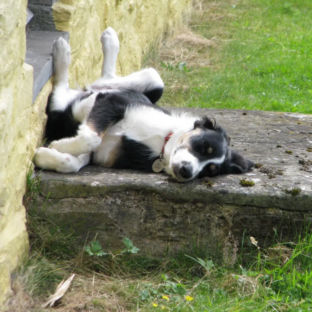 baggiesman.bsky.social's profile picture