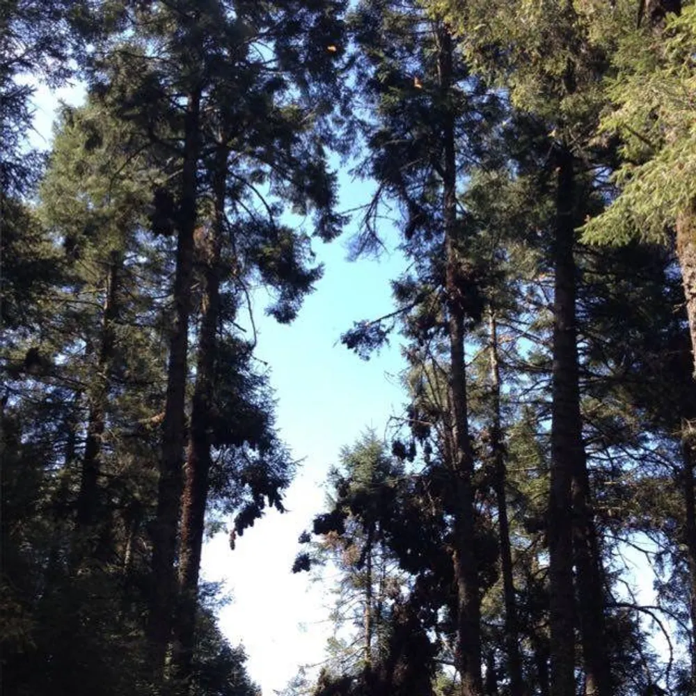 quietsps23.bsky.social's profile picture