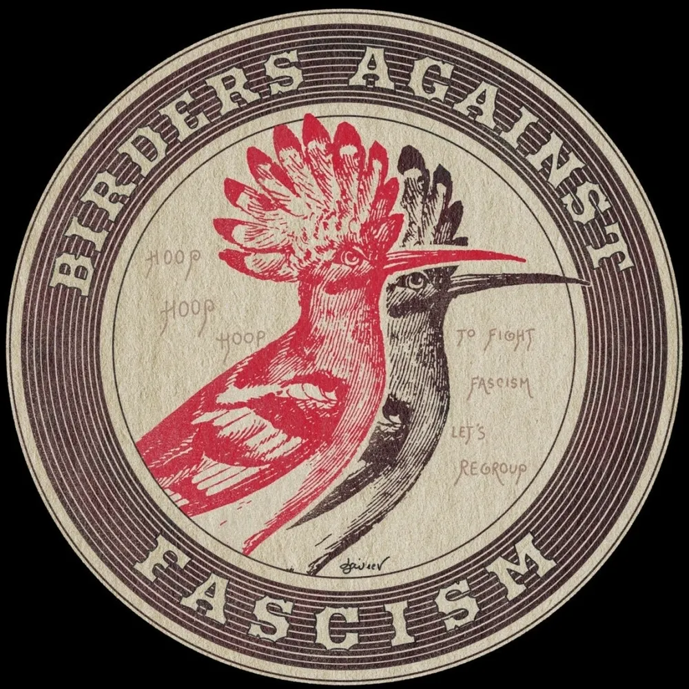 birdiegirl2.bsky.social's profile picture