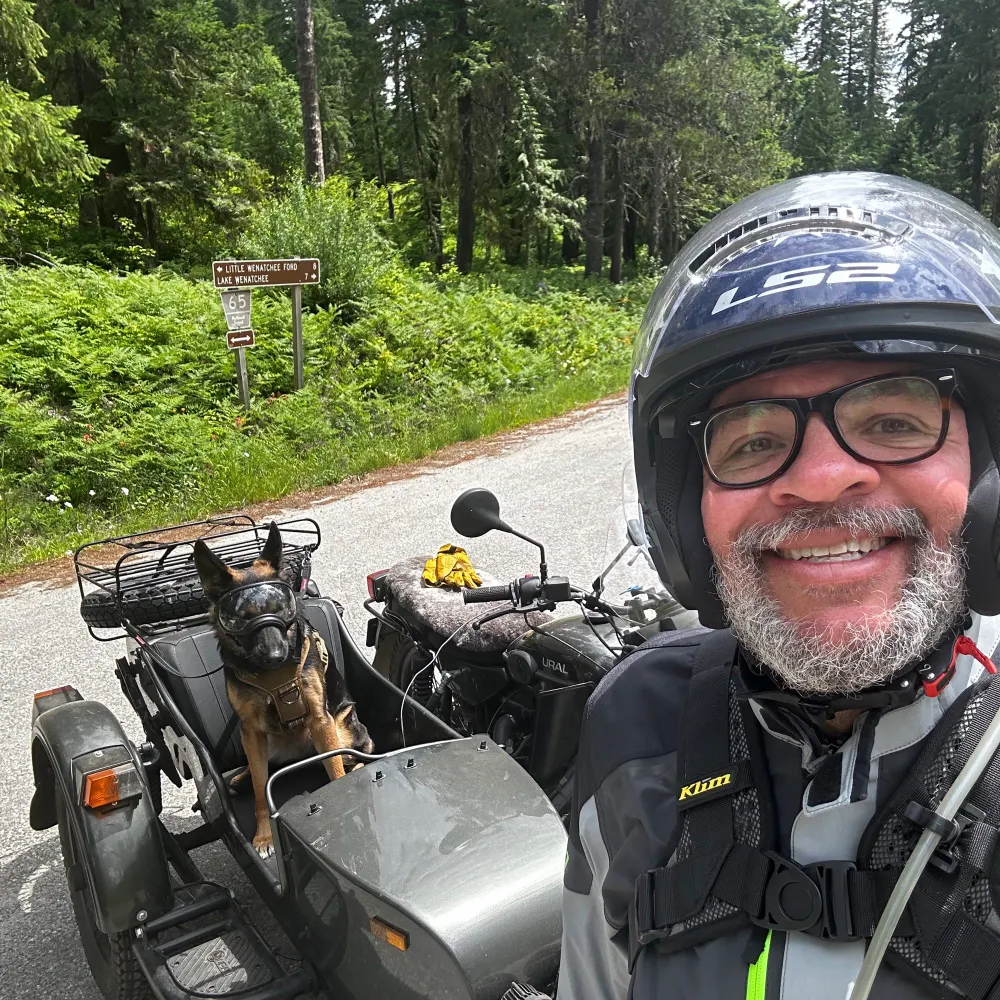 mikesatz.bsky.social's profile picture