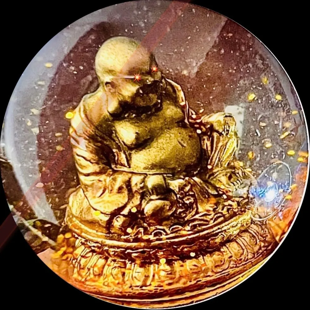 fellowvertebrates.bsky.social's profile picture