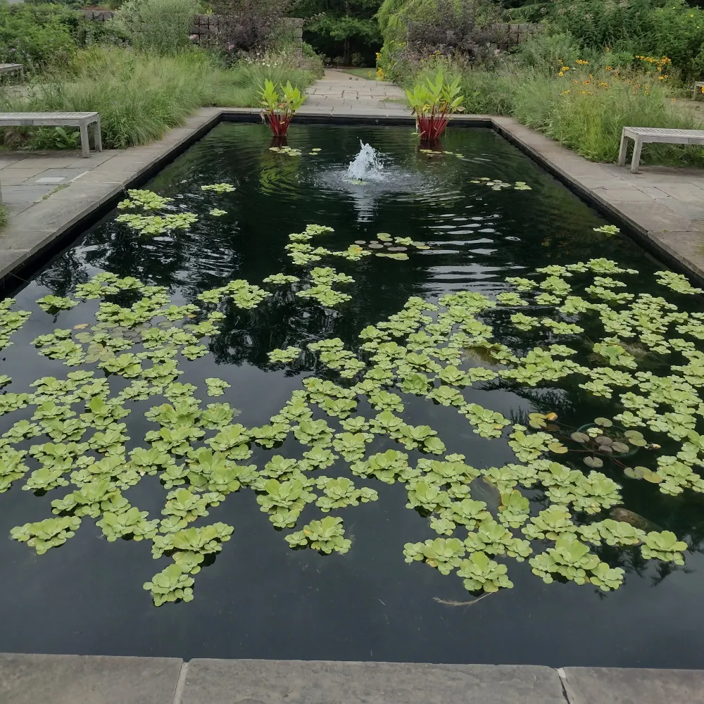 elnigma.bsky.social's profile picture