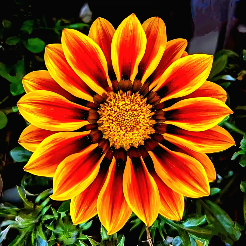 oracy.bsky.social's profile picture