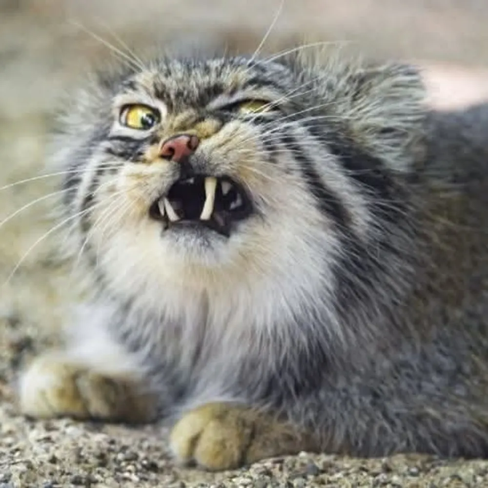 katebevan.com's profile picture