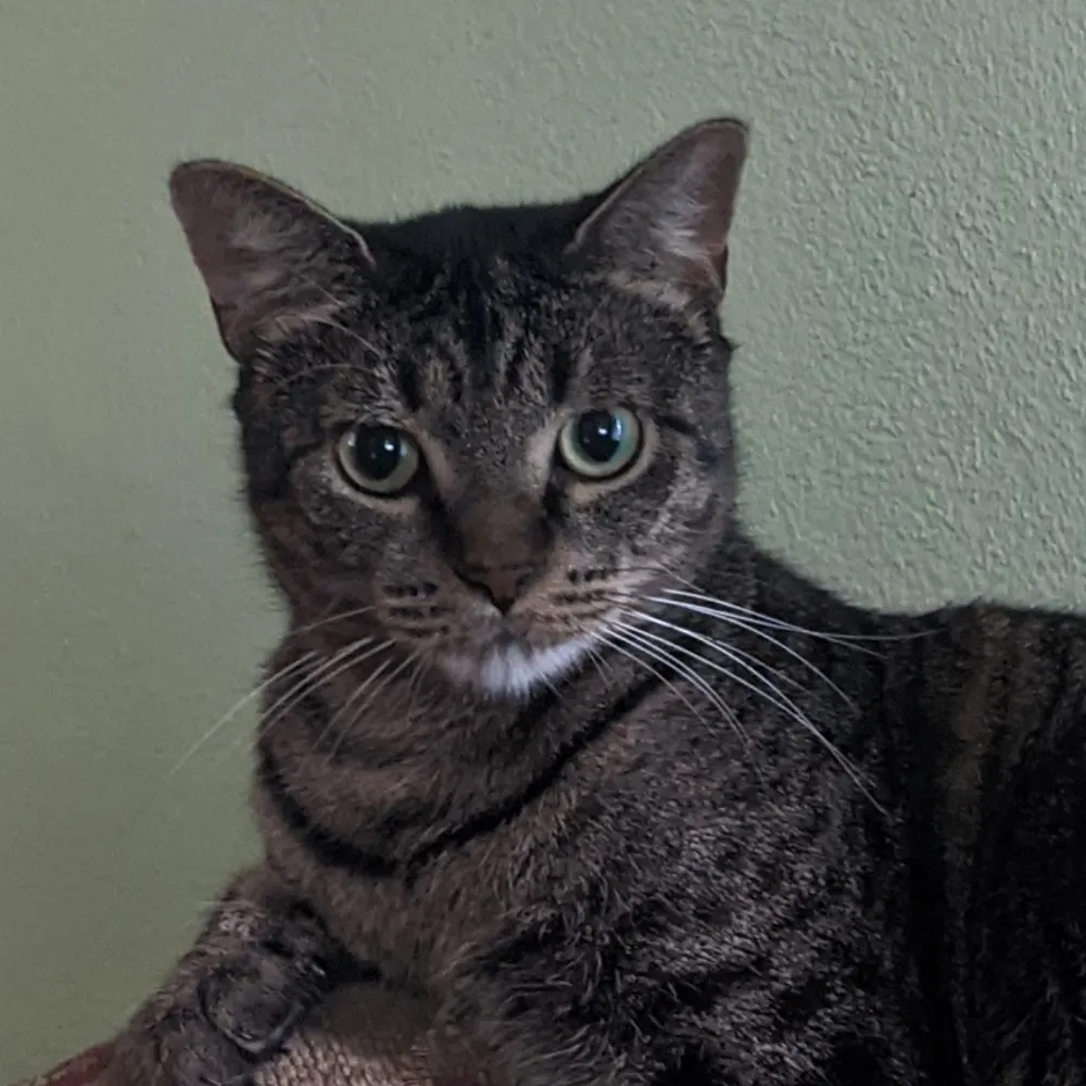 dougyarbrough.bsky.social's profile picture