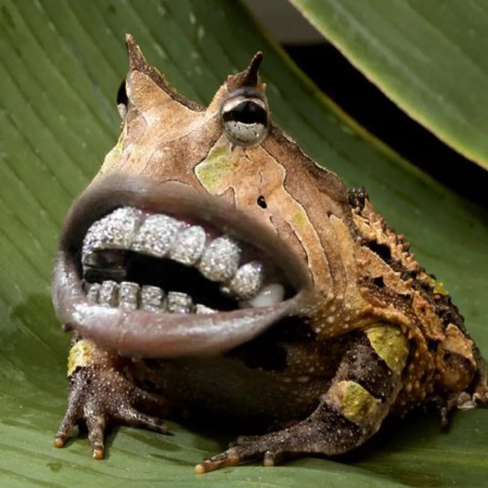 nmche56.bsky.social's profile picture