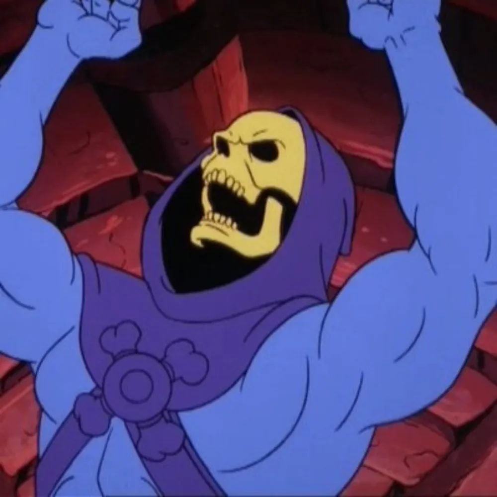 skeletired.bsky.social's profile picture