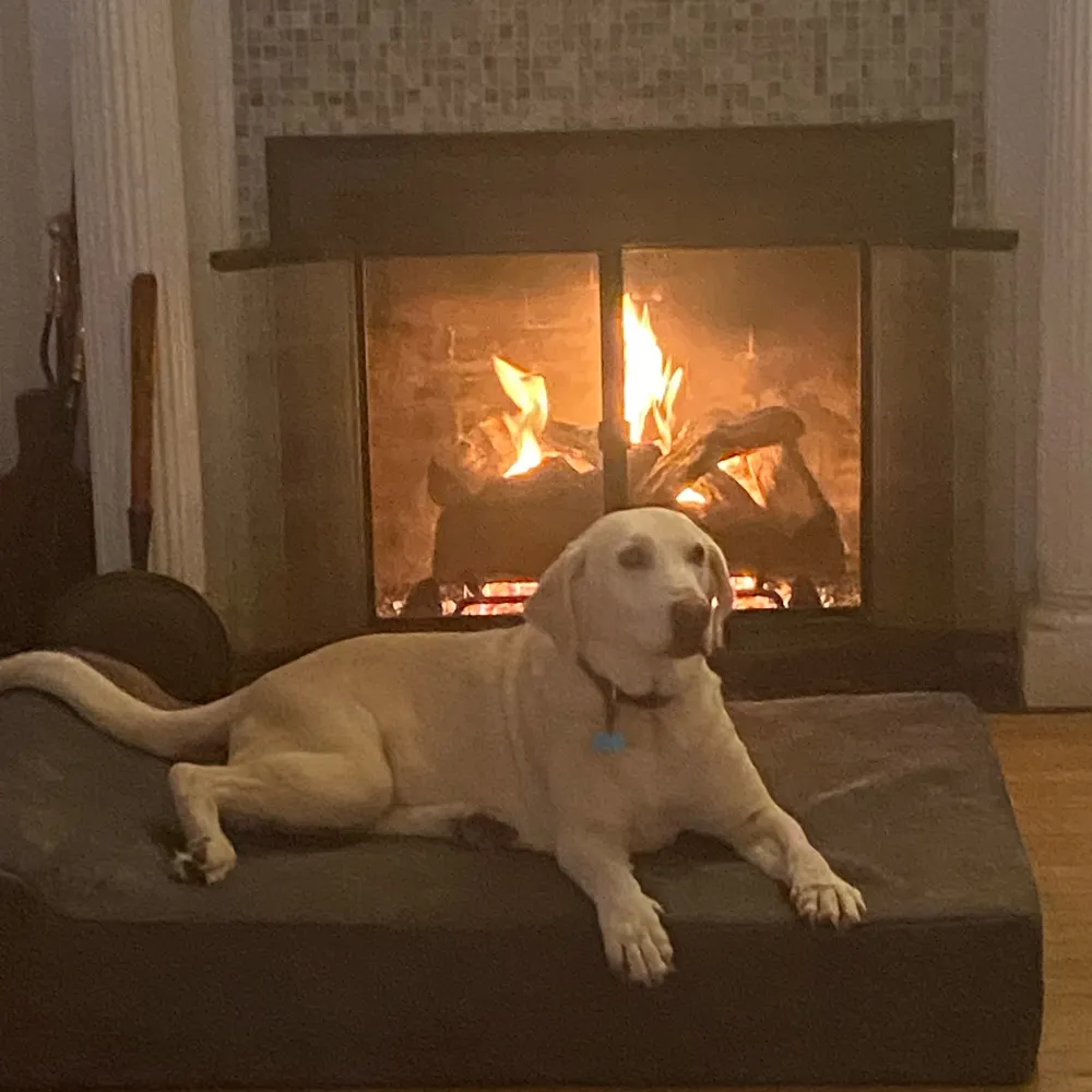 justincidentals.bsky.social's profile picture