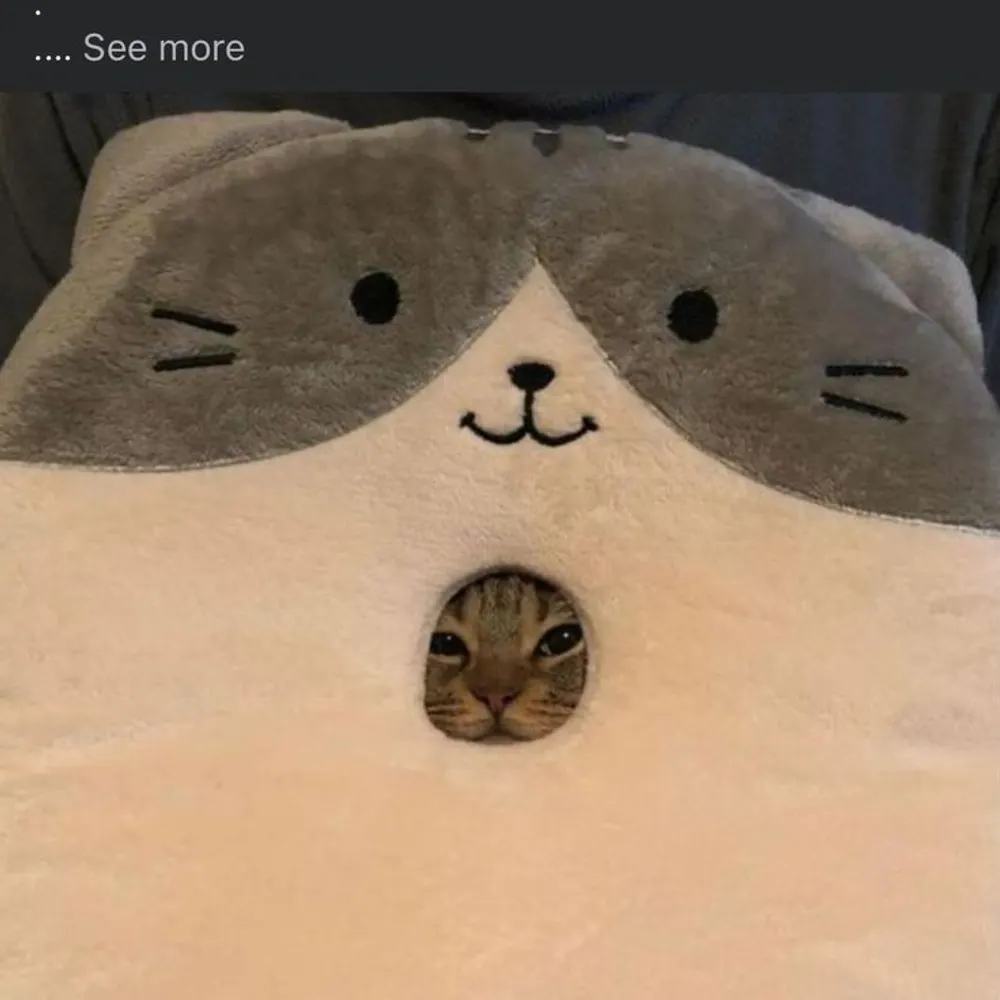 amazingmagda.bsky.social's profile picture