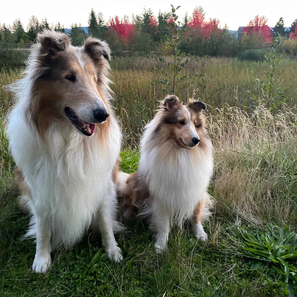 alliance4health.bsky.social's profile picture