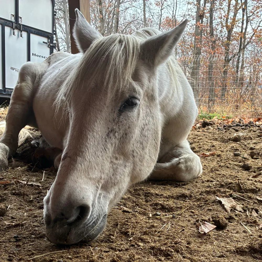 badseedrock.bsky.social's profile picture