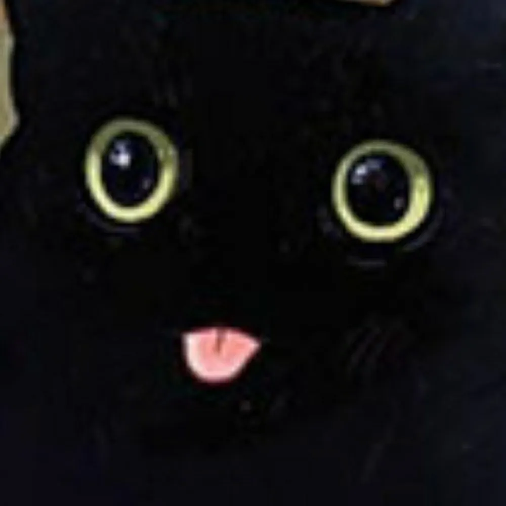 freeedon.bsky.social's profile picture