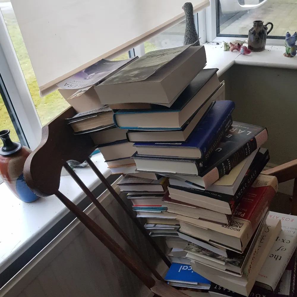 shibh.bsky.social's profile picture