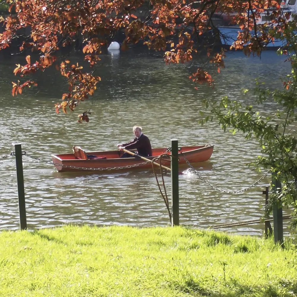 danielmcfee.bsky.social's profile picture