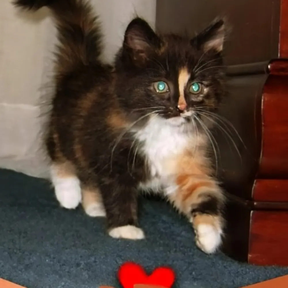 mikaohio.bsky.social's profile picture