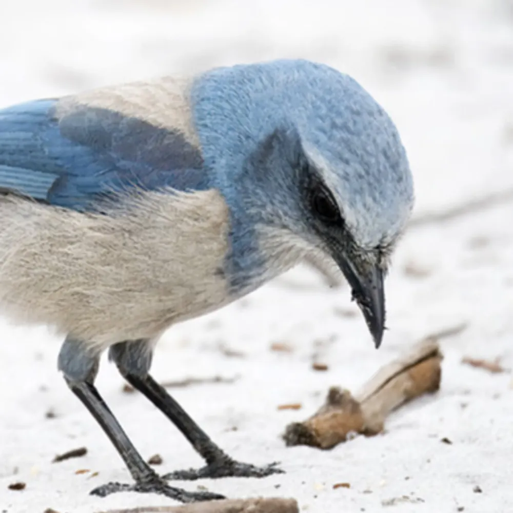 j-lastcoolletter.bsky.social's profile picture