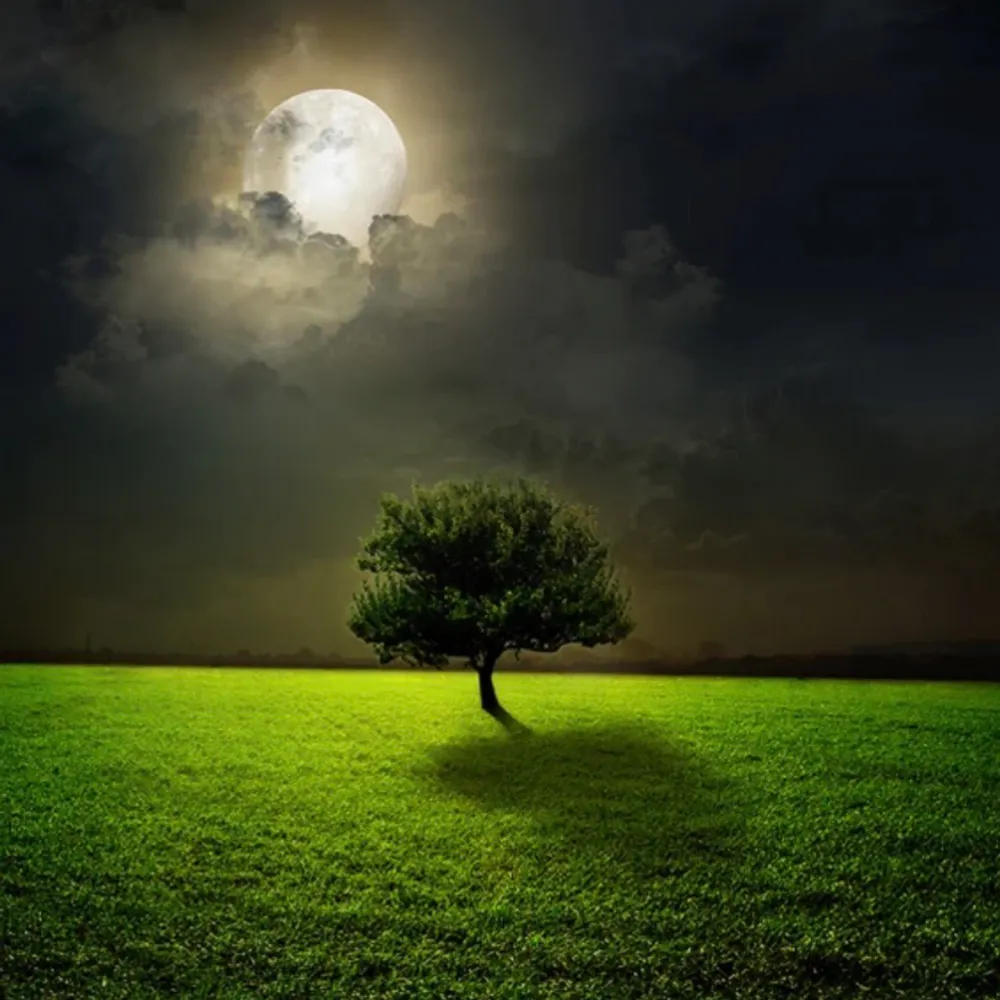 ljuxtapositionl.bsky.social's profile picture