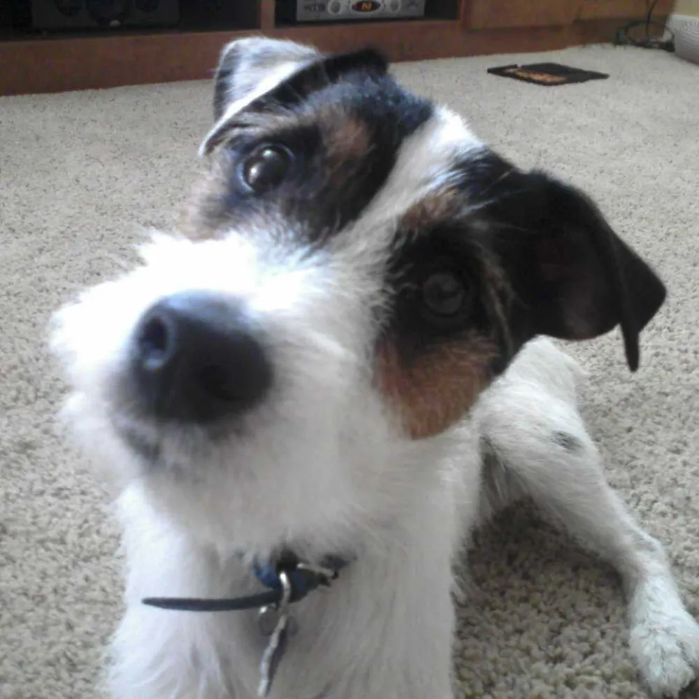 outtamylaine.bsky.social's profile picture