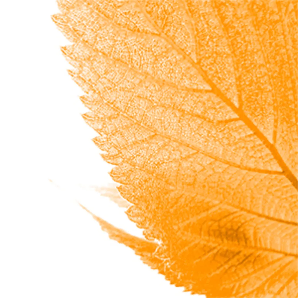 arestelle.bsky.social's profile picture