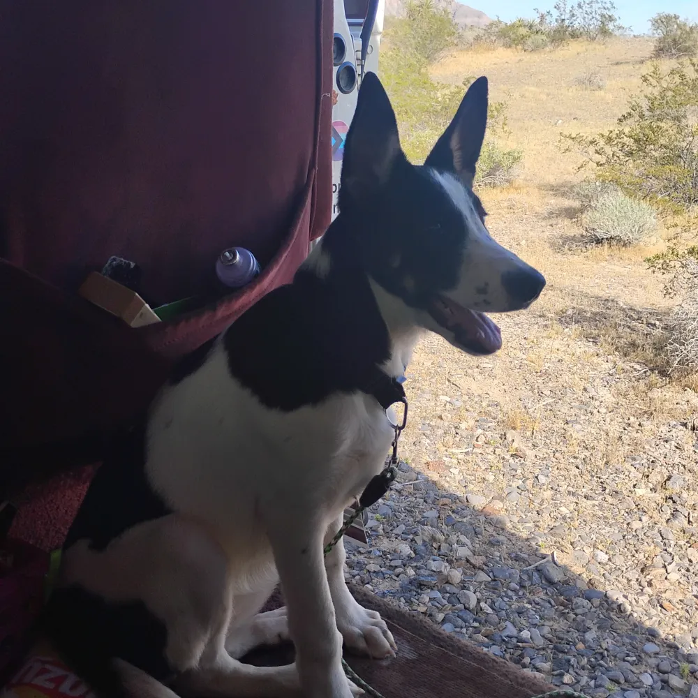 tscrimsonfucker.bsky.social's profile picture