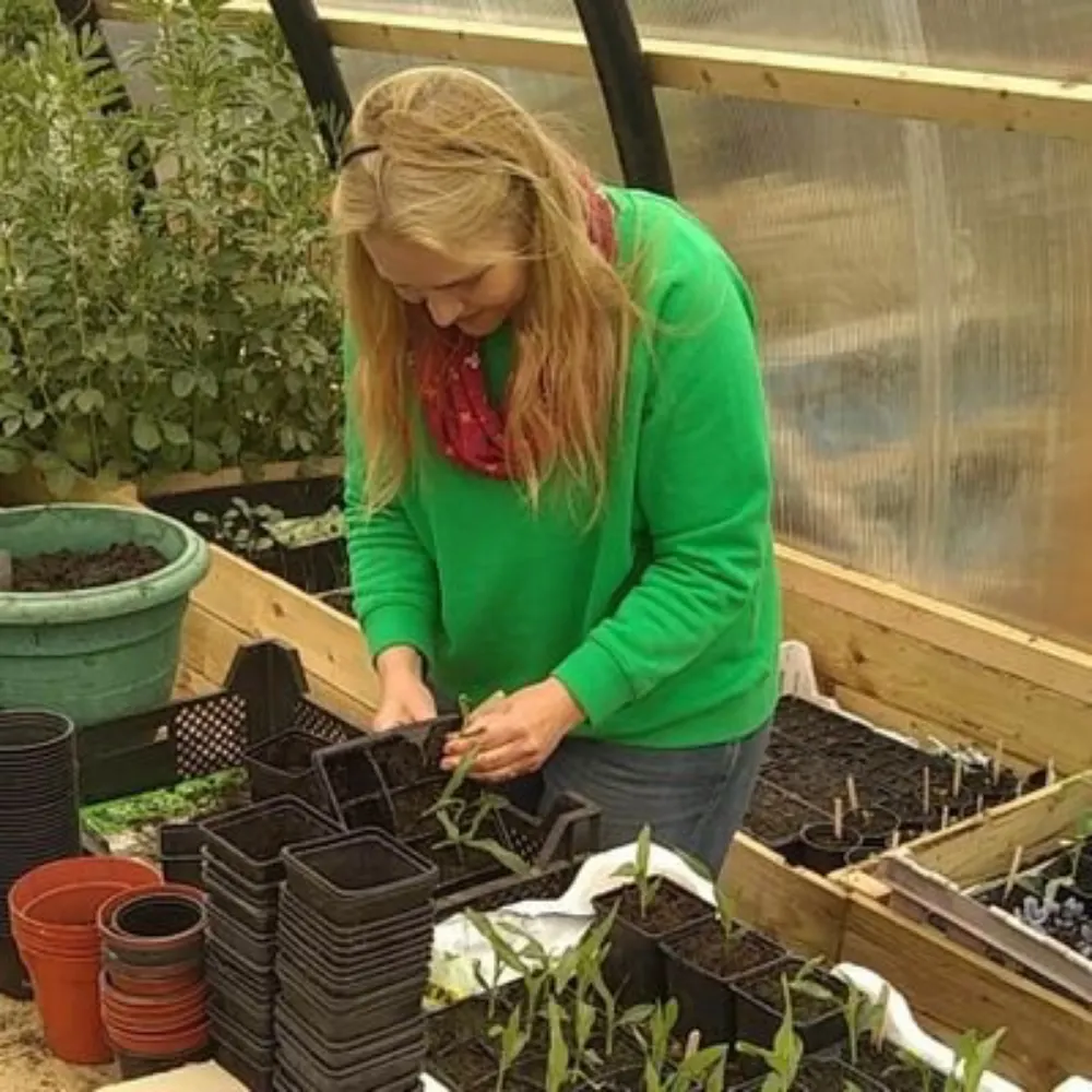 elsnicol.bsky.social's profile picture