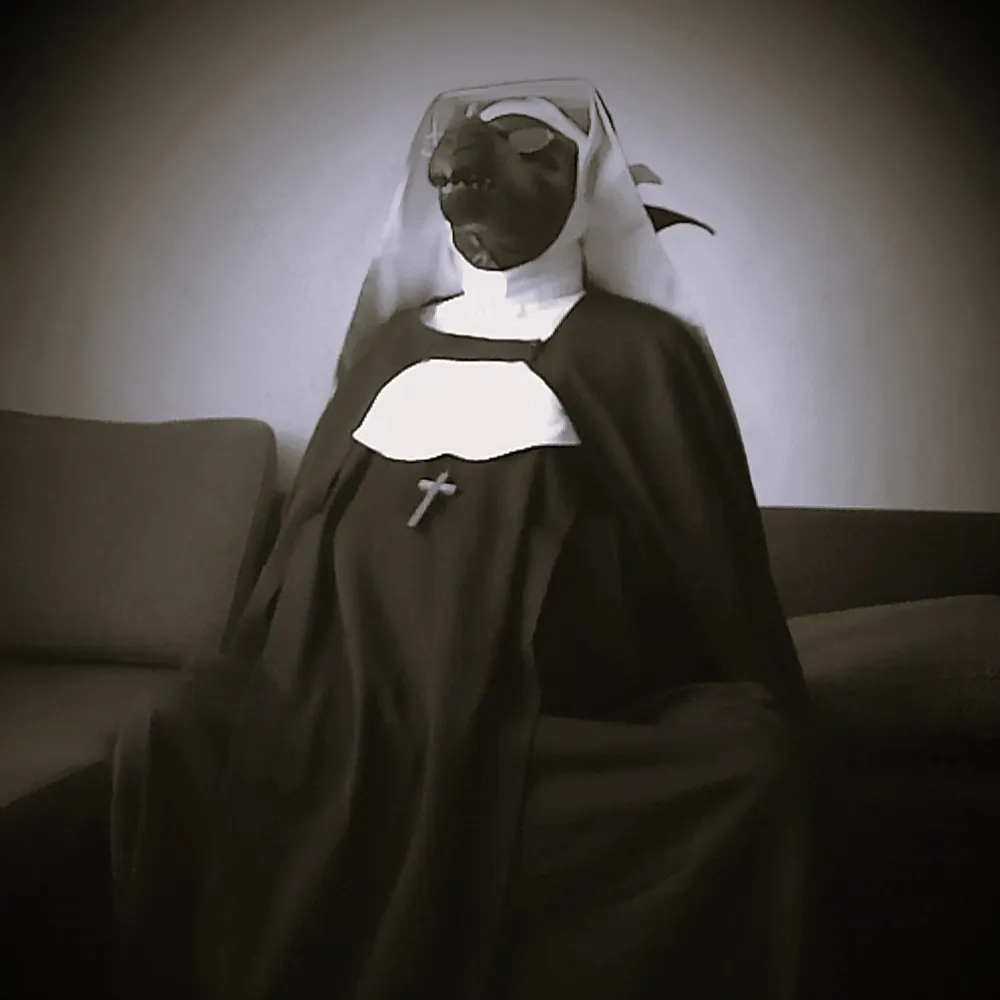 sanctimonialis.bsky.social's profile picture