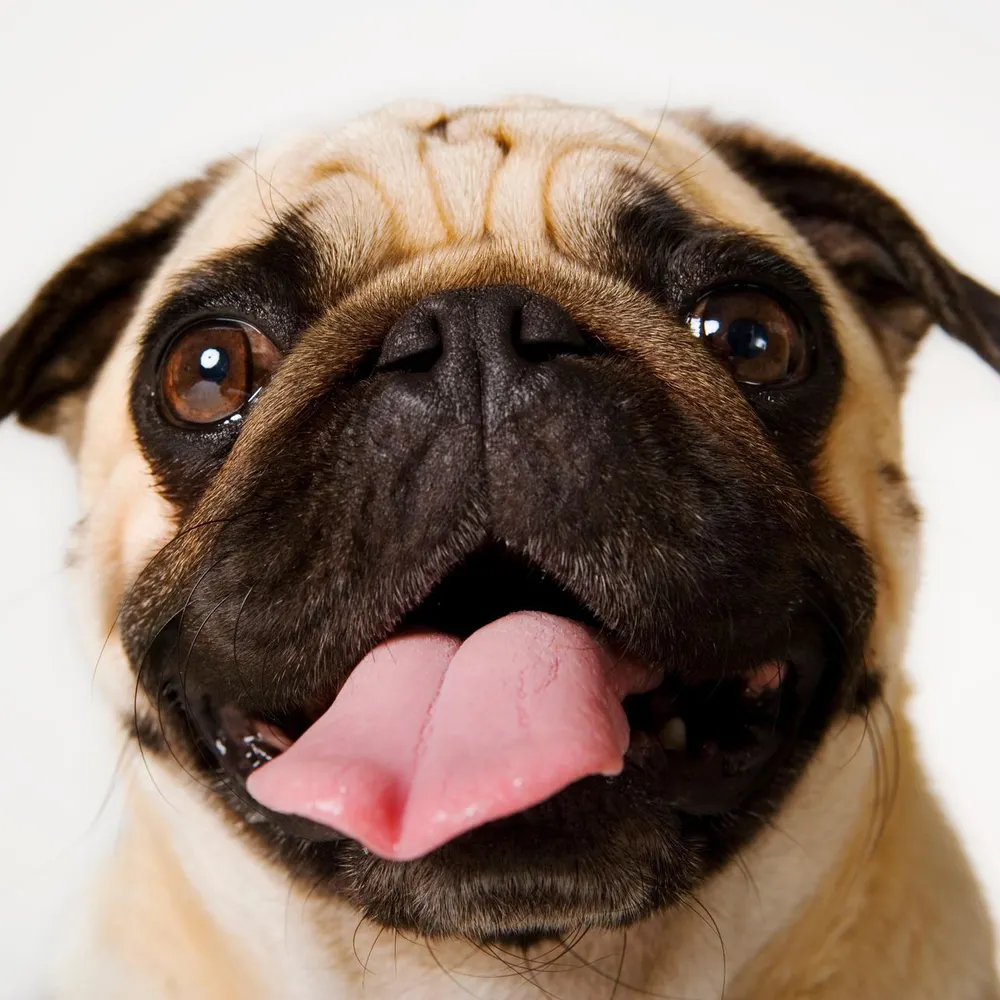 bjgt.bsky.social's profile picture