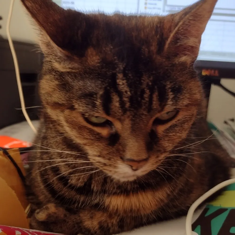 zuzusunshine.bsky.social's profile picture