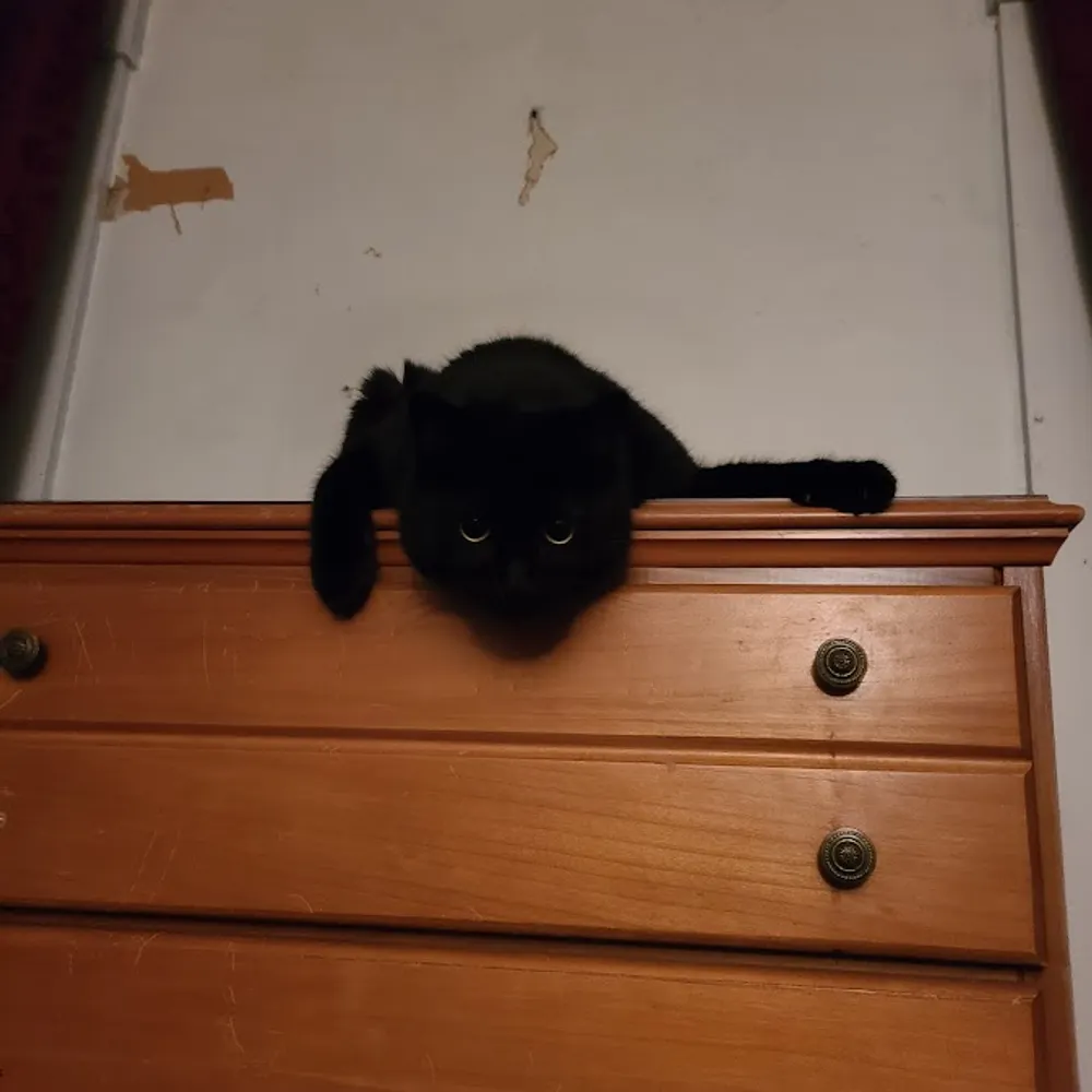 seanharper.bsky.social's profile picture