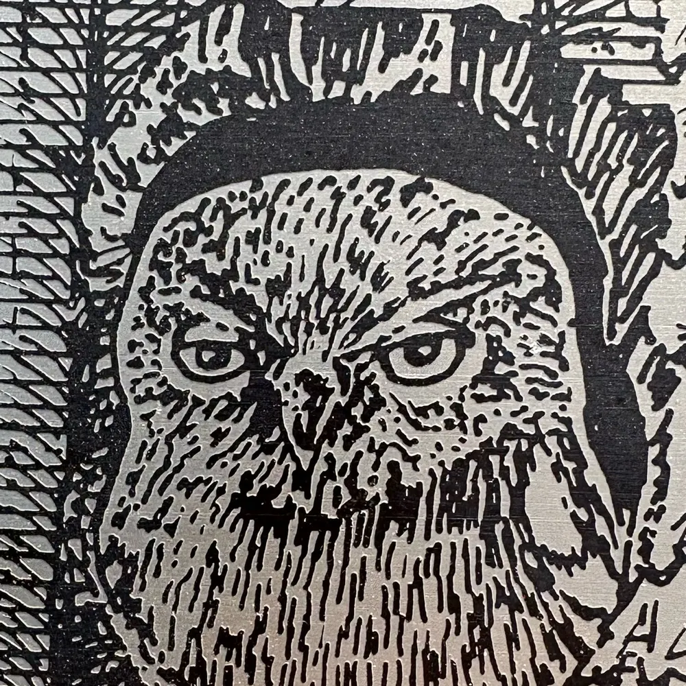 snarkranger.bsky.social's profile picture