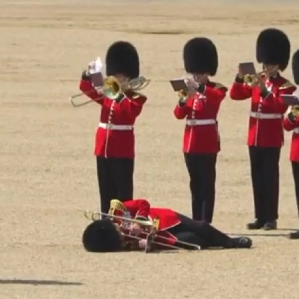 hungrycat.bsky.social's profile picture