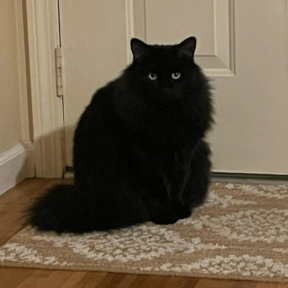 glowgirl7291.bsky.social's profile picture