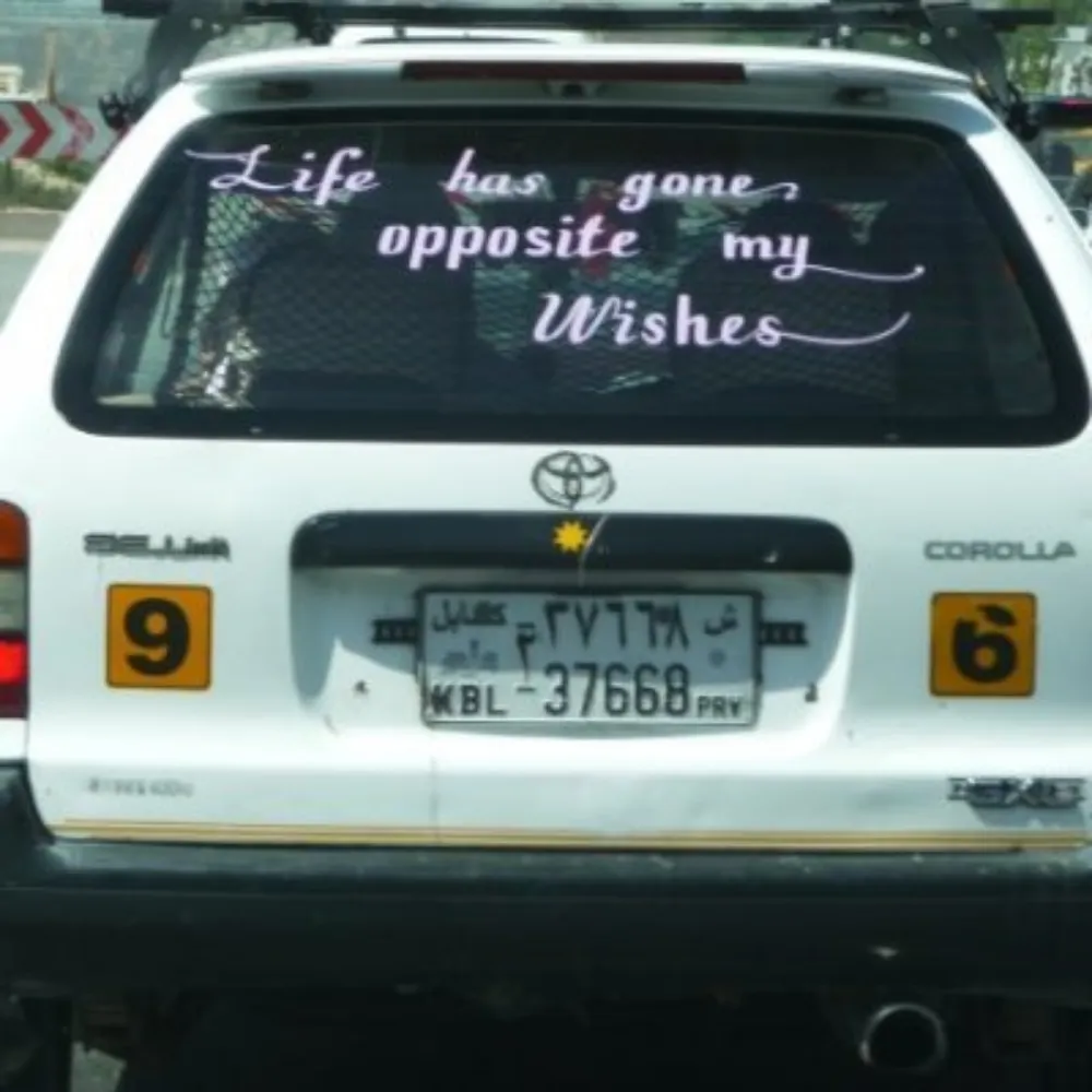 yellowferret.bsky.social's profile picture