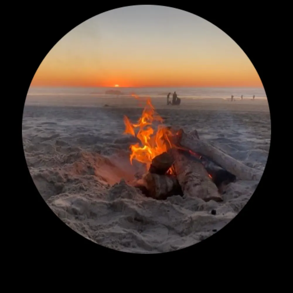 trustedreveler.bsky.social's profile picture