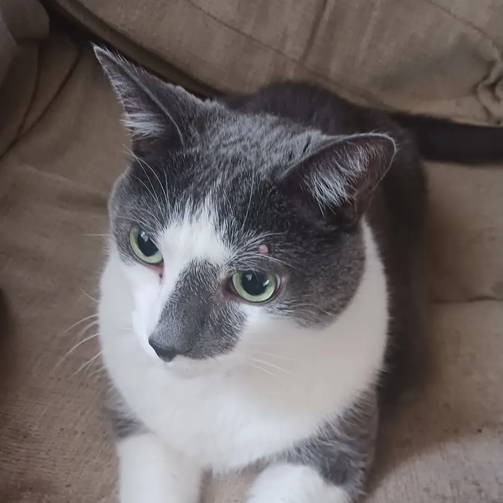 nilesandlaura.bsky.social's profile picture