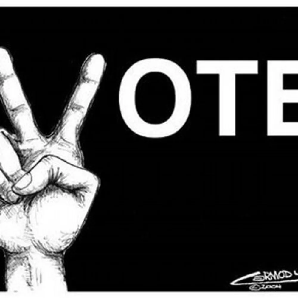 didtheyletuvote.bsky.social's profile picture