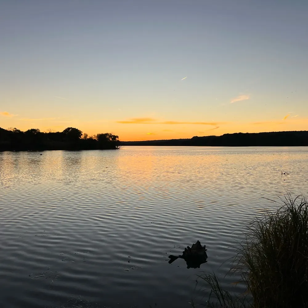 freedom95.bsky.social's profile picture