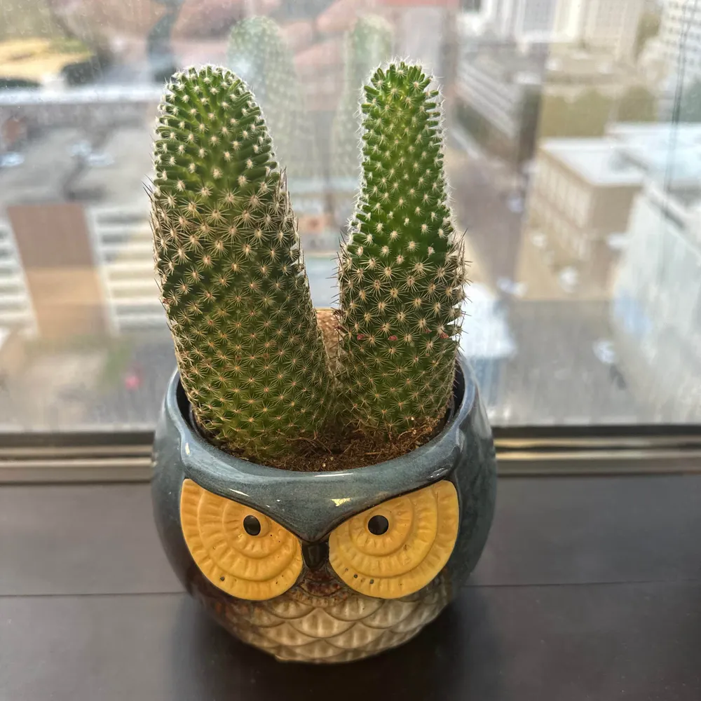 adub01488424.bsky.social's profile picture