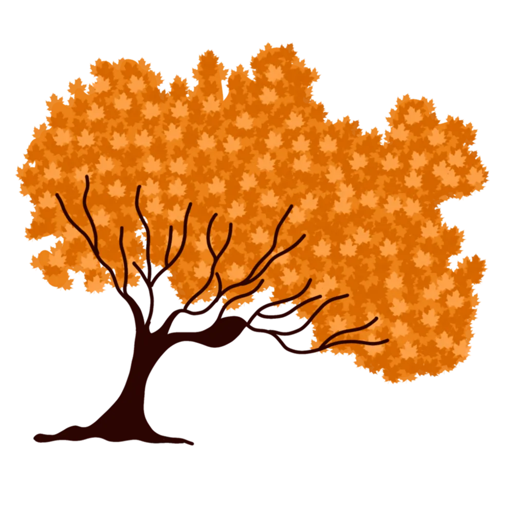 acerplatanoides.bsky.social's profile picture