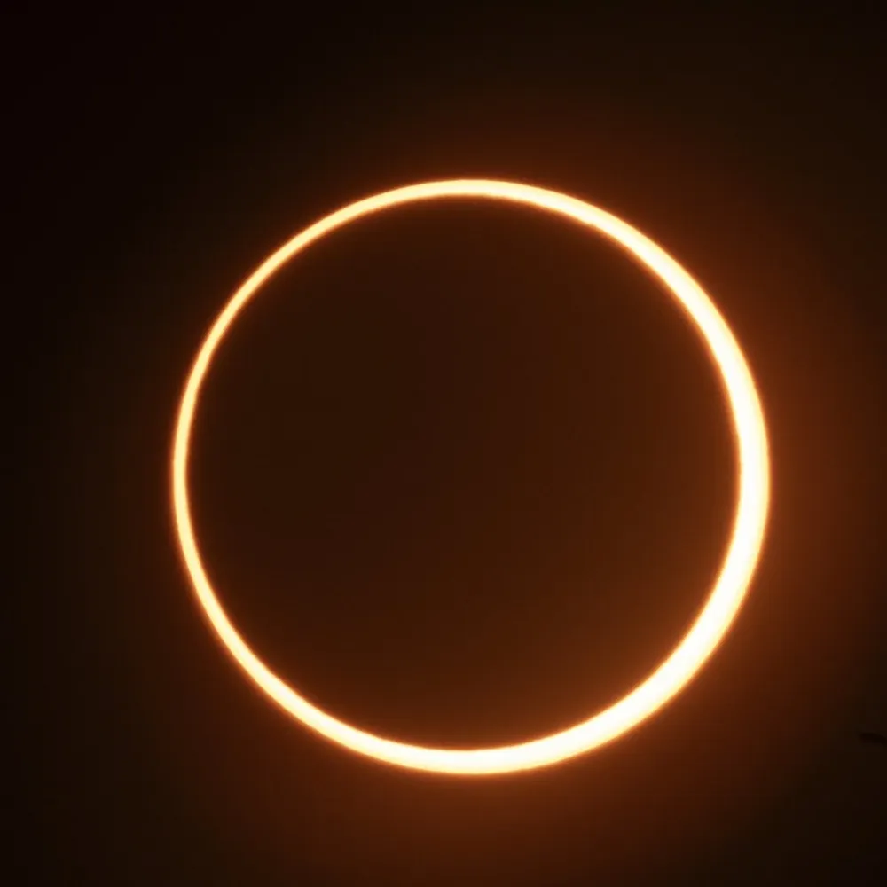 skavra.bsky.social's profile picture