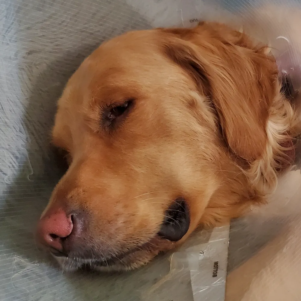 evilwoman46111.bsky.social's profile picture